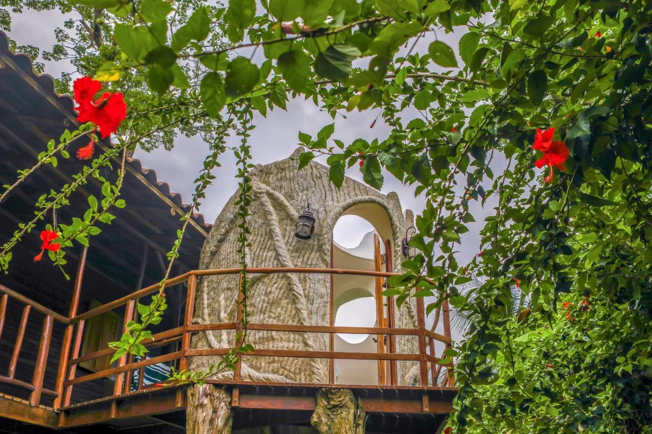 Casa Contiki Βίλα Cabo Matapalo Εξωτερικό φωτογραφία